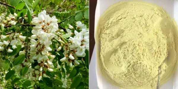 Luteolin extract from sophora Luteolin extract from sophora