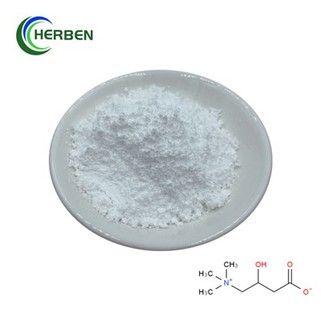 Čisti L karnitin u prahu